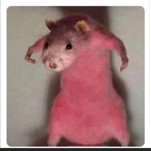 jennyibarra174